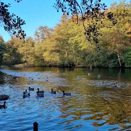 Feriehus 8 Person In Bogense-by Traum *