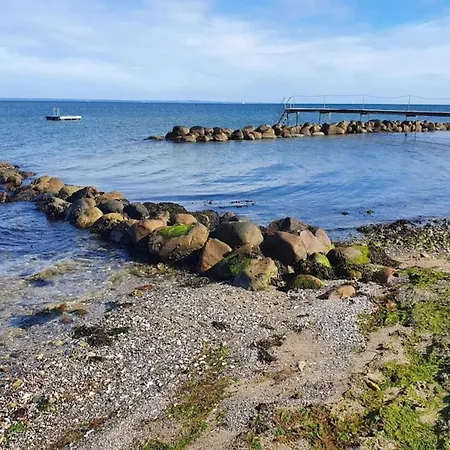 Feriehus 8 Person In Bogense-by Traum Bogense